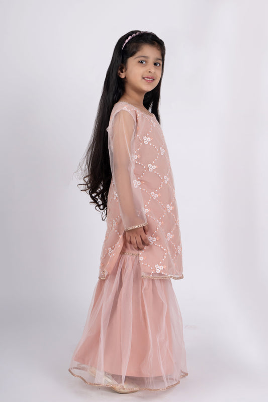 Girls peach net embroidered sharara set