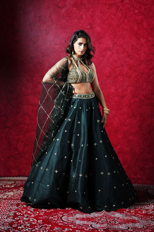 JEEVA LEHENGA SET