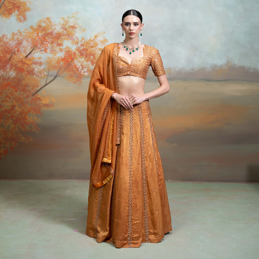 Golden Zardozi Mirror Work Organza Set With Sequin Blouse Set 2 Pcs