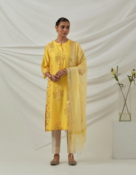 Yellow Chanderi hand block printed kurta with embroidered panels