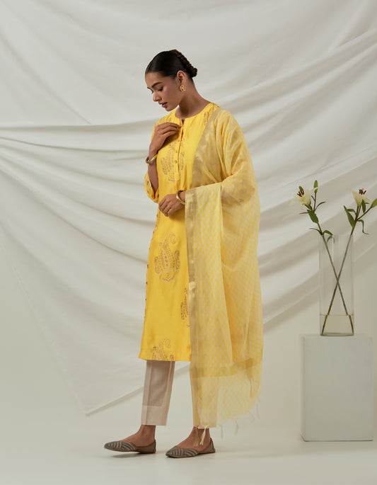 Yellow Chanderi hand block printed kurta with embroidered panels