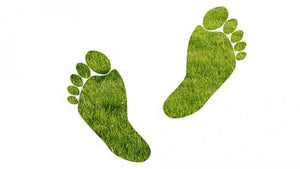 10 Ways To Reduce Your Ecological Footprint