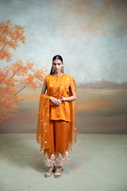 Orange  Organza Detailing  Cotton Silk & Organza  Kurta Set  3 Pcs