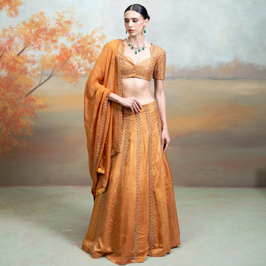 Golden Zardozi Mirror Work Organza Set With Sequin Blouse Set 2 Pcs