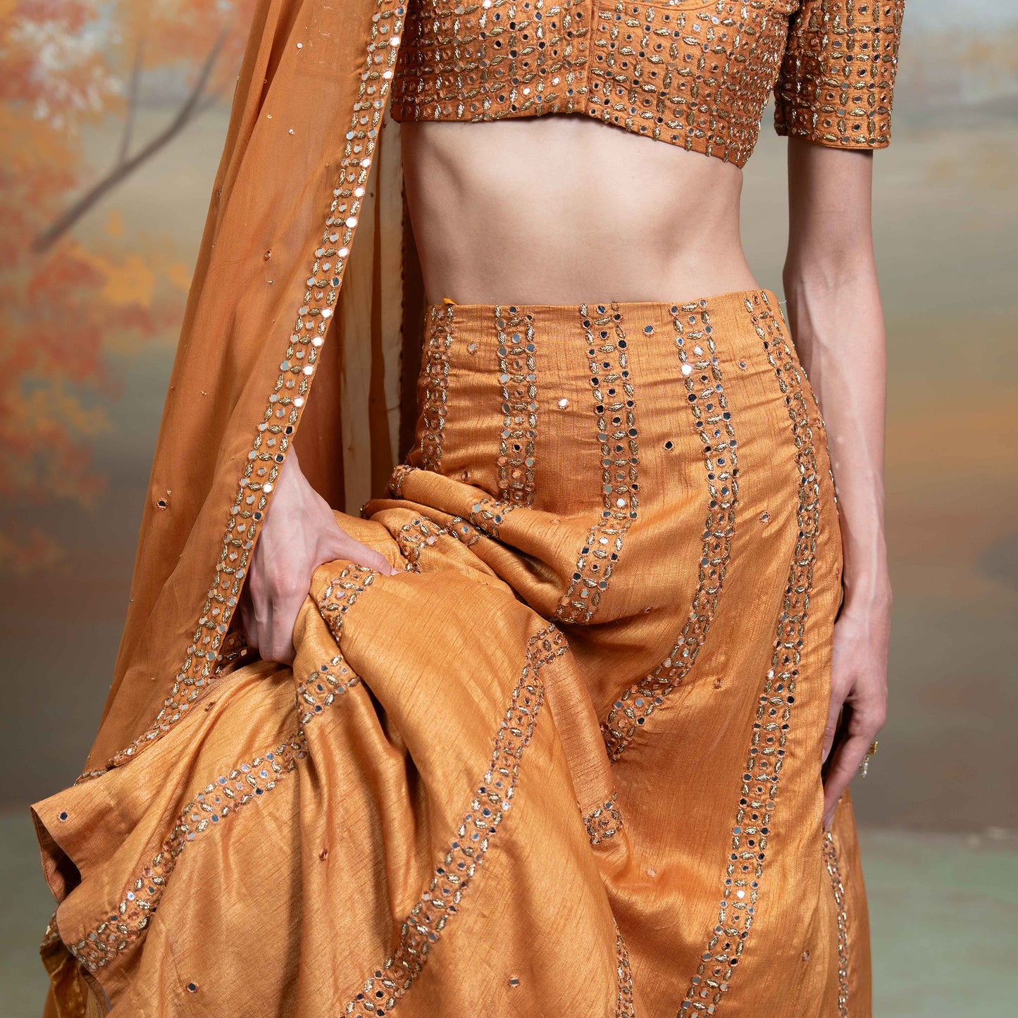 Golden Zardozi Mirror Work Organza Set With Sequin Blouse Set 2 Pcs