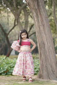 Varahai Organza Lehenga