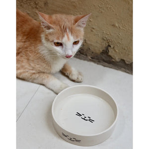 Set of two - Dog & Cat Bowl