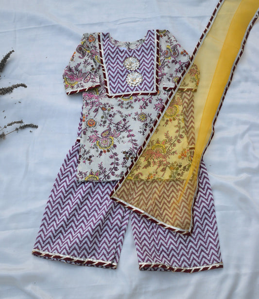 Zehra sharara for little girls