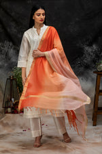 Load image into Gallery viewer, Handwoven Cotton Chanderi Shaded Dupatta with Zari Trims
