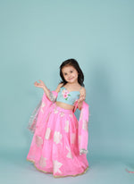 Load image into Gallery viewer, Pink Organza lehnga with blue floral choli set
